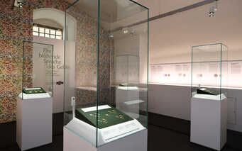 Schloss Eggenberg, Münzkabinett, Universalmuseum Joanneum